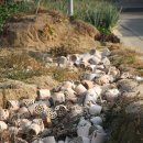 술샘건강복지센터 이미지