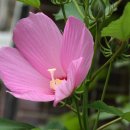 부용쉼터 이미지