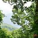 내칠2리 이미지