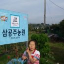 삼공주 농원 이미지