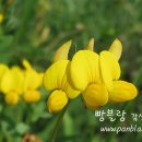 오늘 두시 이미지