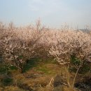 원경농장 이미지