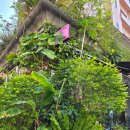 나비야(NABIYA) | 2025 탄감자 대만여행 0322_융캉사공원//용산사//마사지