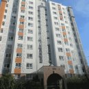 서구-02-24 이미지