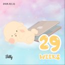 서현산부인과의원 | [임신 27주 1일차] 성남 더미즈 임당 재검 후기/케어센스 에어/케어센스N/서현 엔도 내과 방문/위시케어...