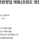 현대약품(주) 네이버블로그