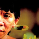 사라져가는 목소리들 이미지