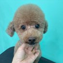 멍블리살롱 이미지