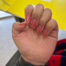 글로리 애견 유치원 | 2023년 3월 첫주 부터 셋째주 까지 채니의 일기.