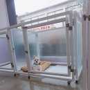 웃개살롱 이미지