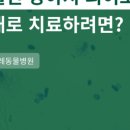 더 포레 동물병원 이미지