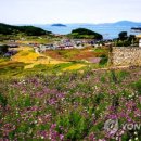 무안국제공항 관광안내소 이미지