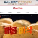 함안굽네치킨 네이버블로그