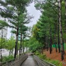 대전선암초교 이미지