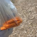 힐링운동화빨래방 | 창원 소쿠리섬 당일치기 배타고 초등 아이와 다녀온 후기