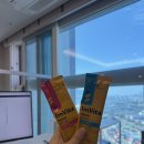 용인대 무궁화 태권도장 이미지