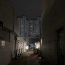 손거미 | 대구 유명 맛집 왕거미식당 뭉티기 내돈내산 후기