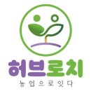 허브모종과 꽃씨 구매처 정리