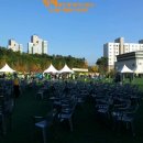 한솔동 축구장 이미지