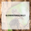 편안한방병원 이미지