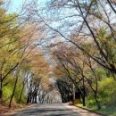 장곡민박산장 이미지