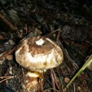 영길농장 이미지