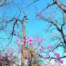 오미약수터 이미지