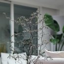 크로키아 이미지