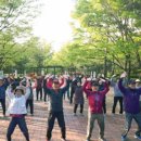 기체조교실 이미지