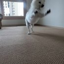 천일세탁 이미지