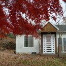 언덕 위 초록지붕 이미지