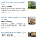 룰루랄라 | 근교 주말 아이랑 캠크닉 하기좋은 용인 룰루랄라 파크 후기