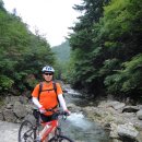 버드나무골 이미지