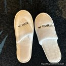 원더풀바디 피트니스 | 마카오 호텔 W MACAU 원더풀 코타이 뷰 수영장 후기(ft. 다이슨)