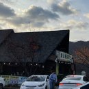 평원애견 이미지