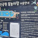 갈산어린이공원 | 🏊‍♂️ 일신공원 어린이 물놀이장 완벽 가이드 | 부평구 무료 물놀이터 추천