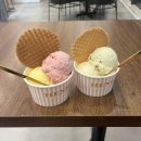 씨에스타 마트 이미지