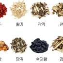 자연애보감 이미지