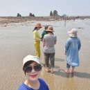 제부도 힐링펜션 이미지