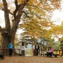 산내면 상황마을 이미지