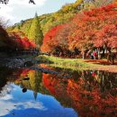 부산백호산악회 제624차 정기 산행안내 (강천산) 이미지