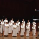 파리나무십자가 소년합창단 이미지