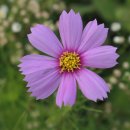 복예가든 이미지