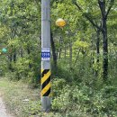 야시대로 이미지