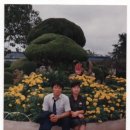 팔덕초등학교 이미지