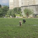 용광약국 이미지