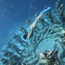 (주)플라잉터틀 | 발리 한달살기 Day3 :: 길리 스노쿨링에서 인생샷 건지다 (가이드 추천) / 선셋 플라잉요가