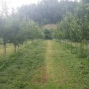 초록농장 이미지