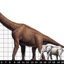 브라키오사우루스 이미지