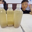 찐팥죽
